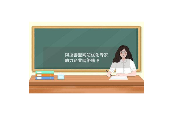 阿拉善盟网站 SEO 优化策略及实践