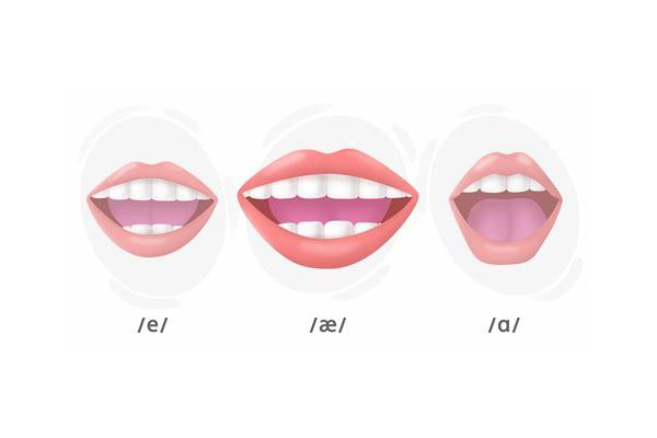 做SEO竟还有提成？背后隐藏着怎样不为人知的秘密与门道