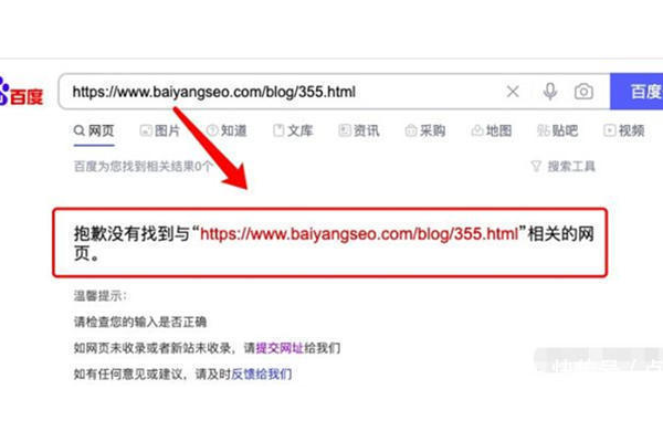 SEO搜索输入技巧大揭秘：提升搜索效率的实用方法