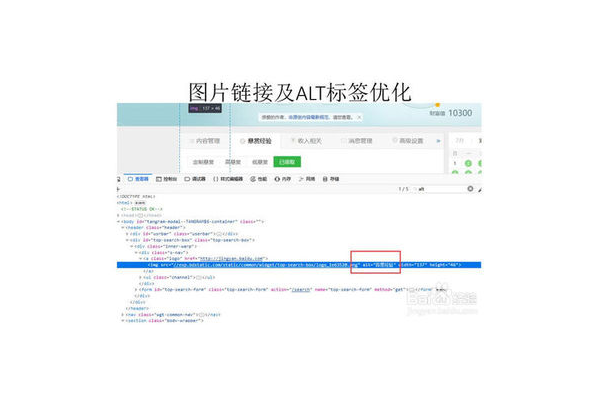 alt 标签在 seo 优化中的重要性及应用