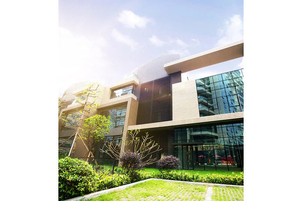 厚街电子网站优化推广方法大揭秘，助你轻松提升网站影响力